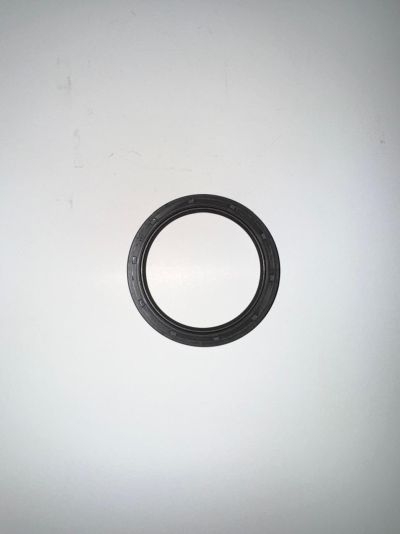 Oil seal