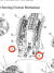 Working hydraulic cylinder assembly / Image 2