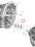 Oil seal / Image 2