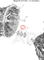 Oil seal / Image 2